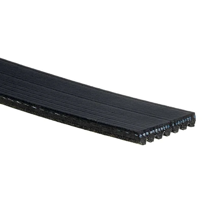 torqen1-971726